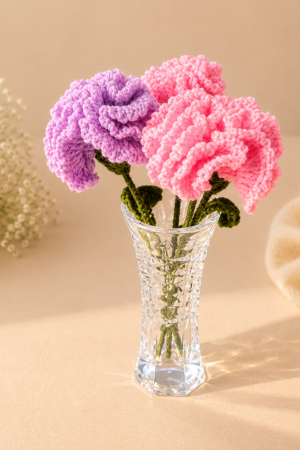 Carnation flower