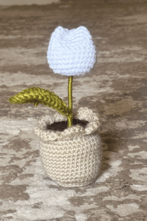 Snow Tulip Crochet Pot
